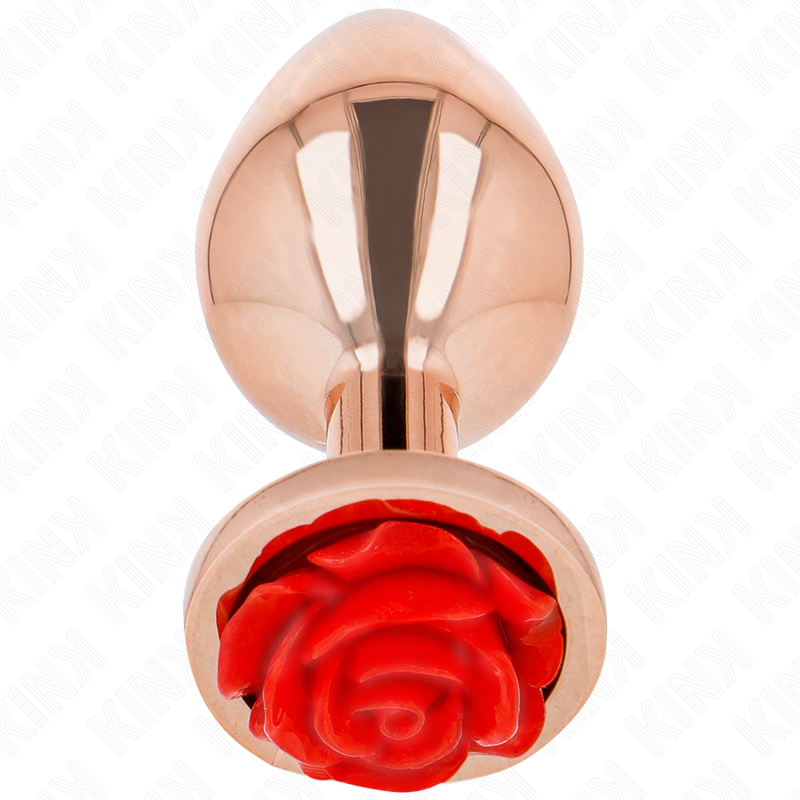 PLUG ANAL ROSA ROSA